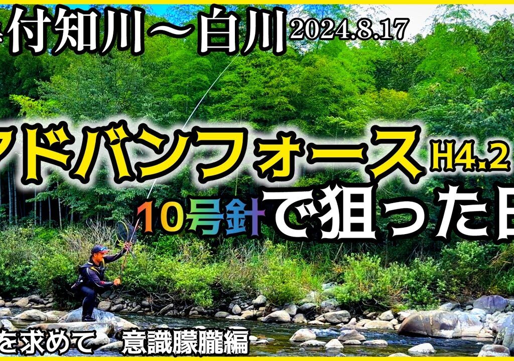 【鮎釣り】付知川、白川（岐阜県）｜2024.8.17（土）【友釣り】