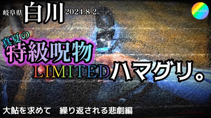 【鮎釣り】白川（岐阜県）｜2024.8.2（金）【友釣り】