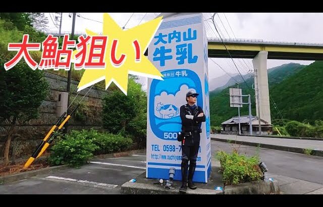 【鮎釣り】2024.8.24 大内山の鮎が想像以上にデカかった！