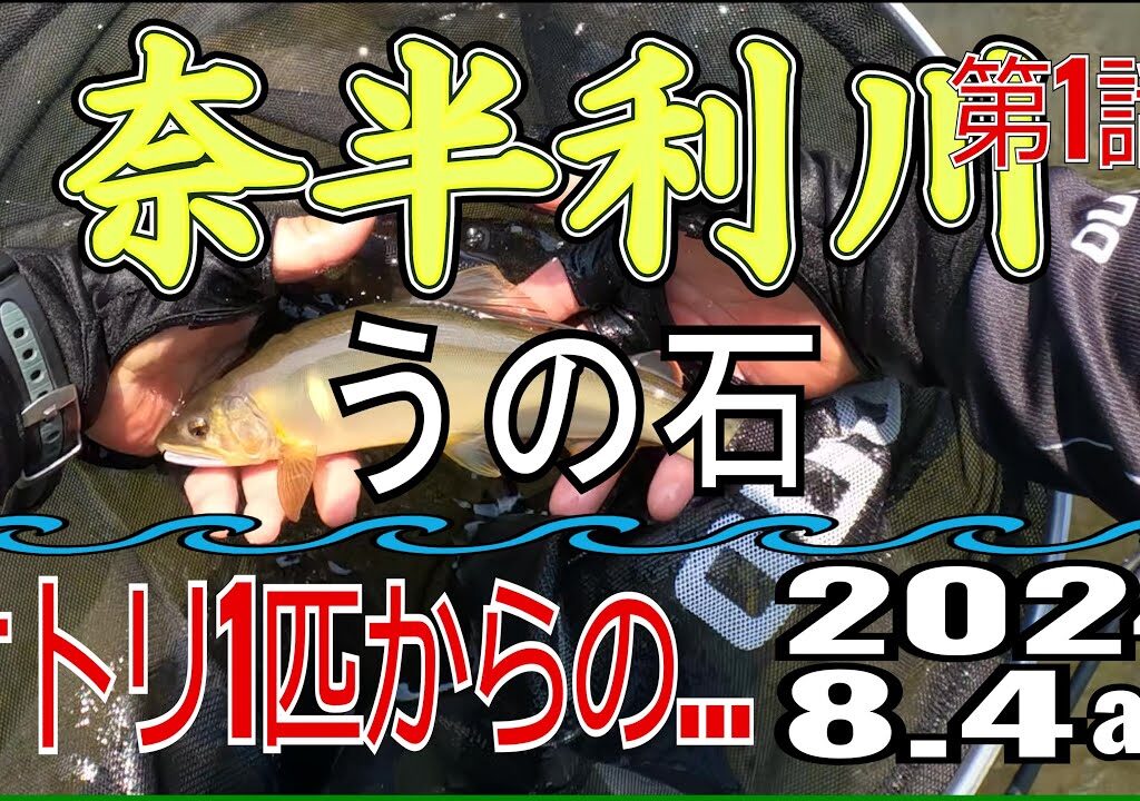 アユの友釣り 奈半利川(高知県) うの石 2024.8.4 第1話