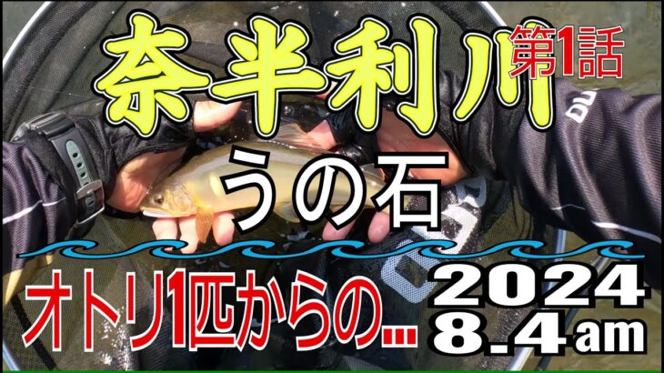 アユの友釣り 奈半利川(高知県) うの石 2024.8.4 第1話