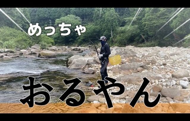 【鮎釣り】2024.8.5 渇水だらけの河川　逆に鮎がいた　in大又川
