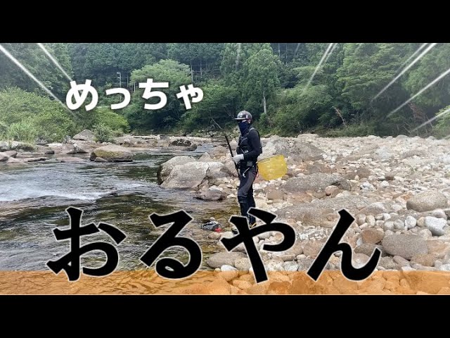 【鮎釣り】2024.8.5 渇水だらけの河川　逆に鮎がいた　in大又川