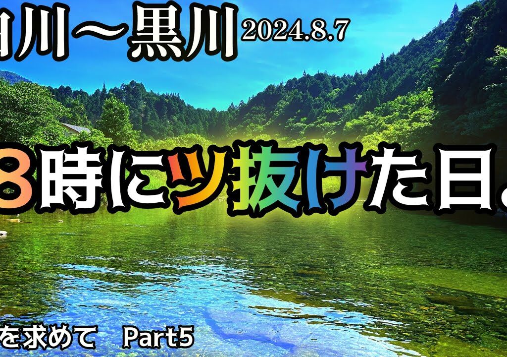 【鮎釣り】白川、黒川（岐阜県）｜2024.8.7（水）【友釣り】