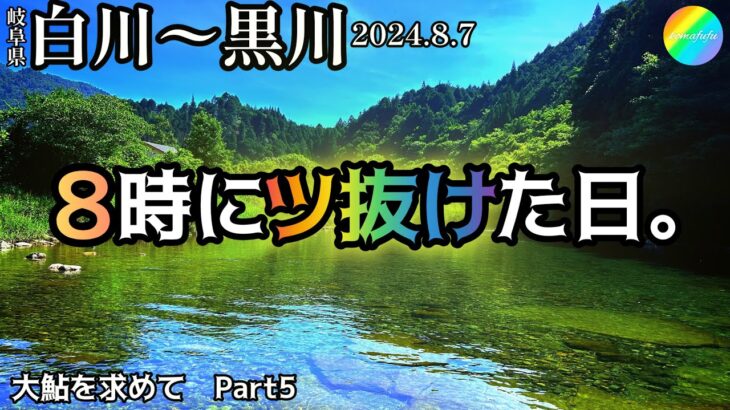 【鮎釣り】白川、黒川（岐阜県）｜2024.8.7（水）【友釣り】