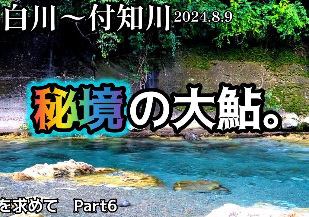 【鮎釣り】白川、付知川（岐阜県）｜2024.8.9（金）【友釣り】