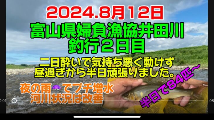 2024.8月12日富山県婦負漁協井田川釣行〜２日目‼️  #釣り #鮎釣り#鮎#サンテック #サンライン#サンラインフィールドテスター #pr#capcut #富山県