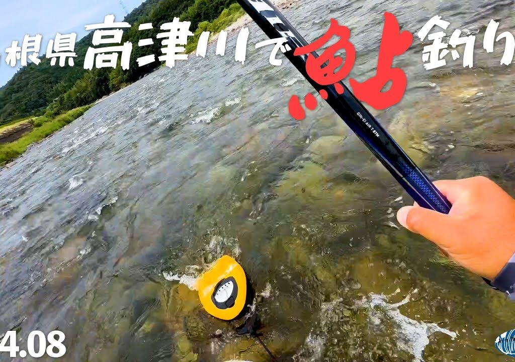 【鮎釣り】島根県高津川で鮎釣り【2024年8月】