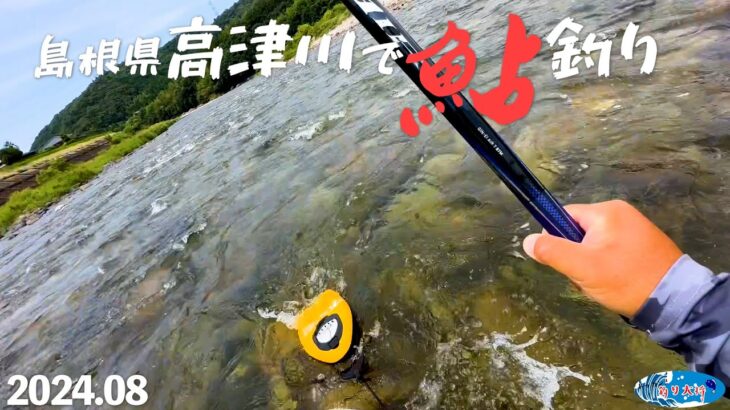 【鮎釣り】島根県高津川で鮎釣り【2024年8月】