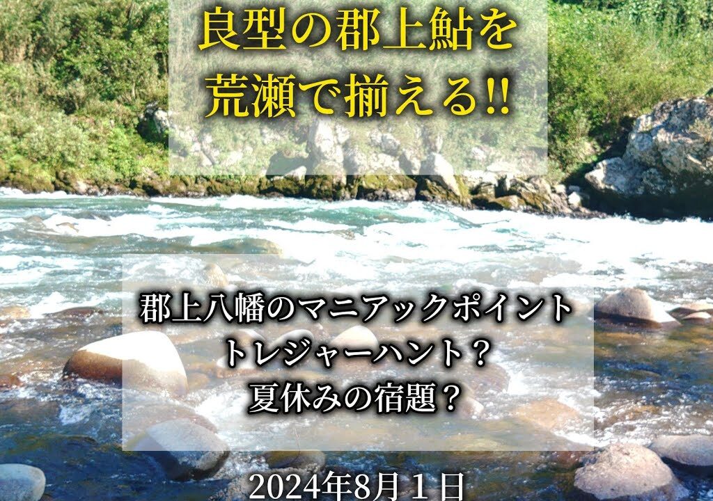 良型の郡上鮎を荒瀬で揃える‼️マニアックポイント。2024年8月1日
