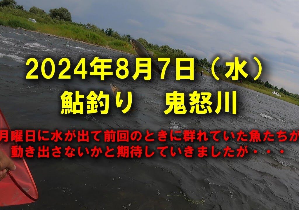 【2024鮎釣り】8月1日（木）鬼怒川釣行（鬼怒川グリーンパーク・西鬼怒川合流）