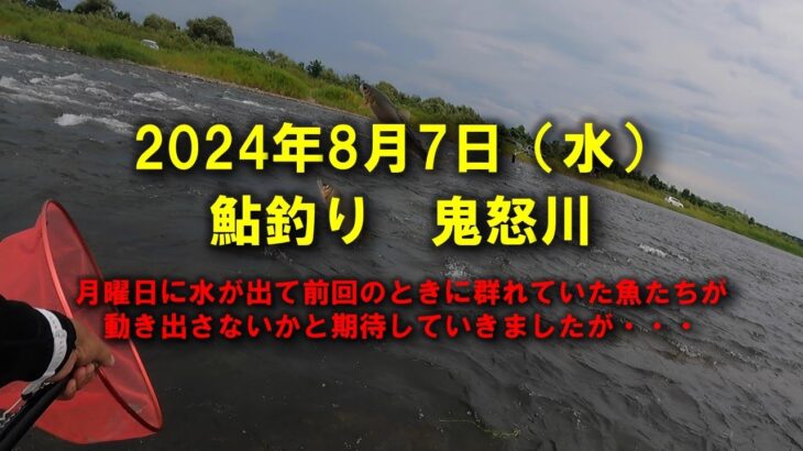 【2024鮎釣り】8月1日（木）鬼怒川釣行（鬼怒川グリーンパーク・西鬼怒川合流）