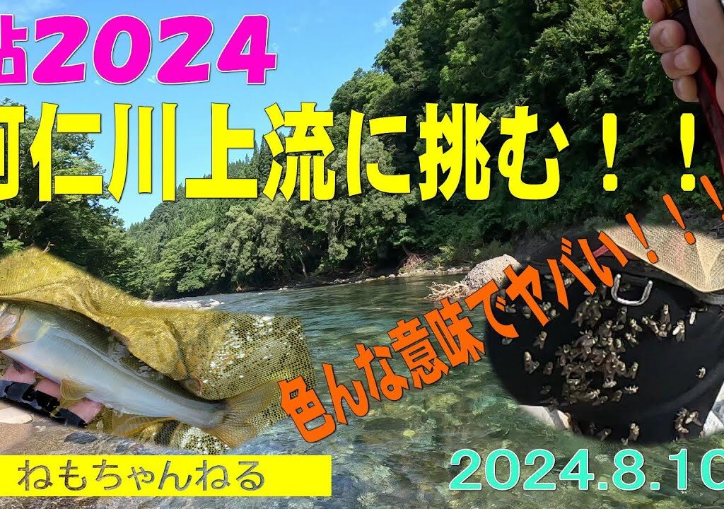 鮎釣り2024（阿仁川810上流）