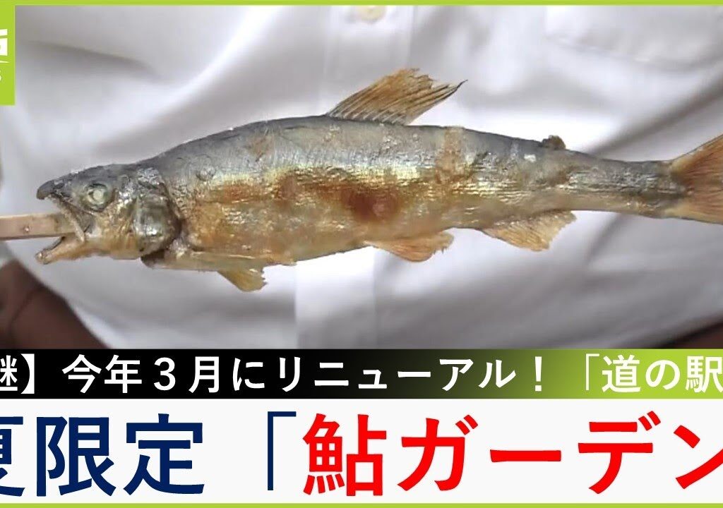 『鮎のつかみ取り』が大人気！地元野菜を破格の値段で販売する『野菜市』も必見　京都・京丹波町「道の駅　和」【福島暢啓の潜入！今昔探偵】【現場から生中継】（2024年8月12日）