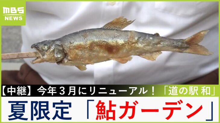 『鮎のつかみ取り』が大人気！地元野菜を破格の値段で販売する『野菜市』も必見　京都・京丹波町「道の駅　和」【福島暢啓の潜入！今昔探偵】【現場から生中継】（2024年8月12日）