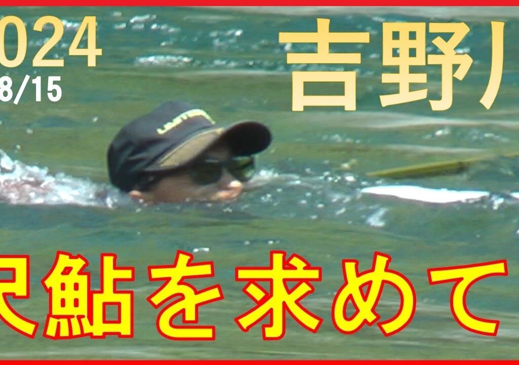2024/8/15 四国・吉野川【尺鮎を求めて！】釣れたらいいね！なんちゃんチャンネル