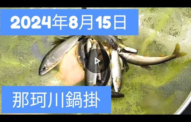 2024年8月15日　那珂川　鍋掛　鮎釣り