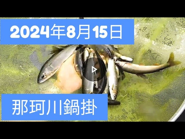 2024年8月15日　那珂川　鍋掛　鮎釣り