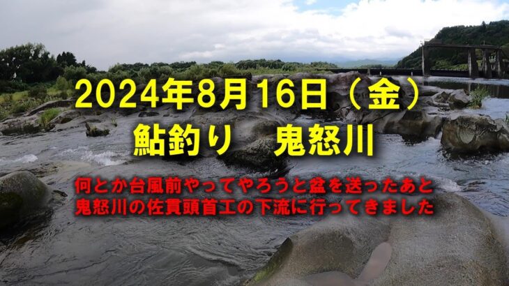 【2024鮎釣り】8月16日（金）鬼怒川釣行（佐貫頭首工下流）