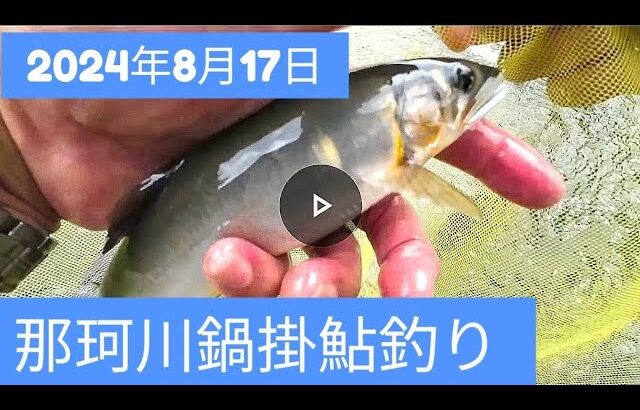 2024年8月17日那珂川鍋掛鮎釣り