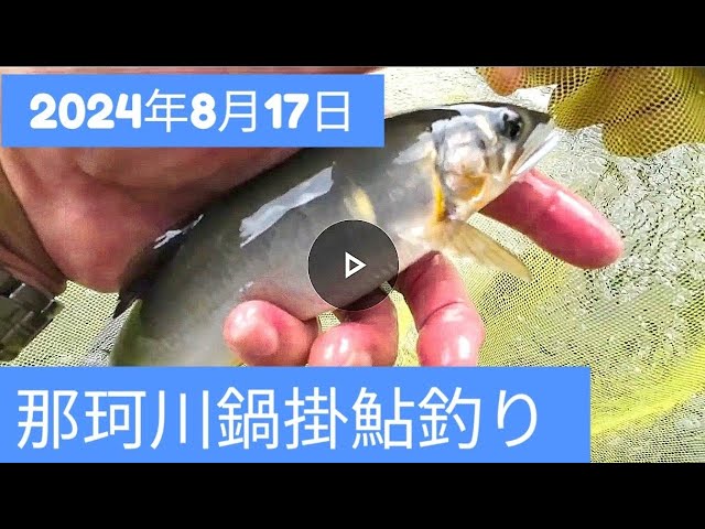 2024年8月17日那珂川鍋掛鮎釣り