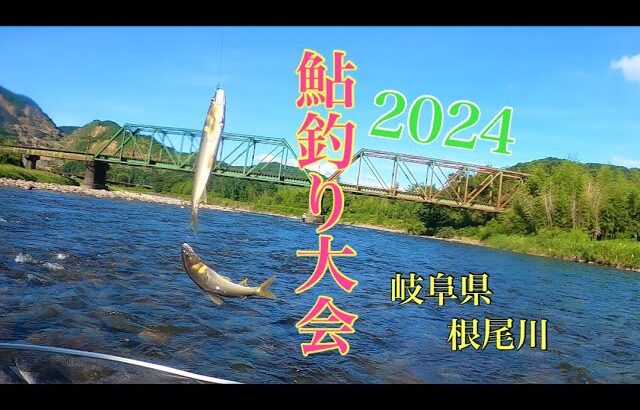 【鮎釣り】2024年鮎釣り大会！IN岐阜県根尾川　前編