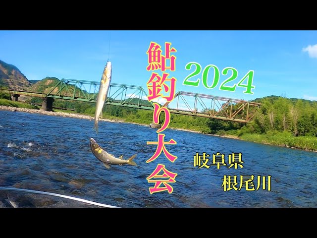 【鮎釣り】2024年鮎釣り大会！IN岐阜県根尾川　前編