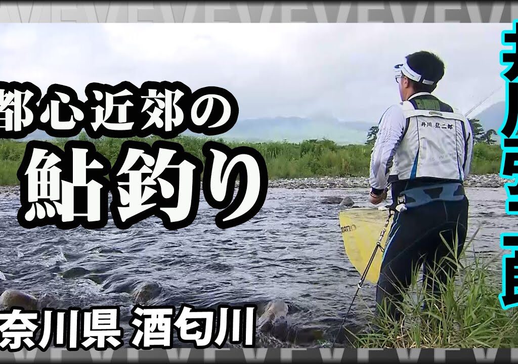 【鮎釣り】井川弘二朗が都市近郊の天然遡上川で晩夏の鮎釣り 2/2 『鮎2018 井川弘二郎×都心近郊に天然遡上あり 晩夏の酒匂川』イントロver.【釣りビジョン】その②