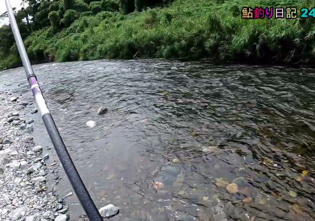 鮎釣り日記 24 8 18