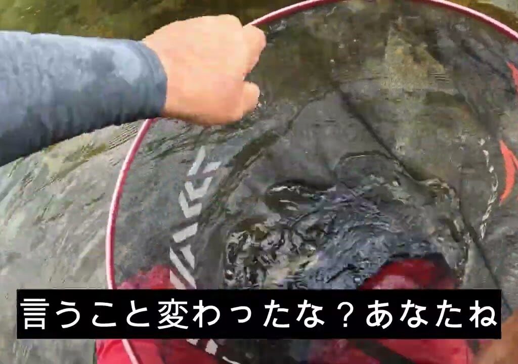 盆休み3日目の鮎釣り
