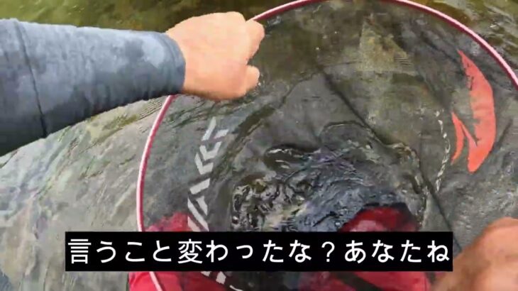 盆休み3日目の鮎釣り