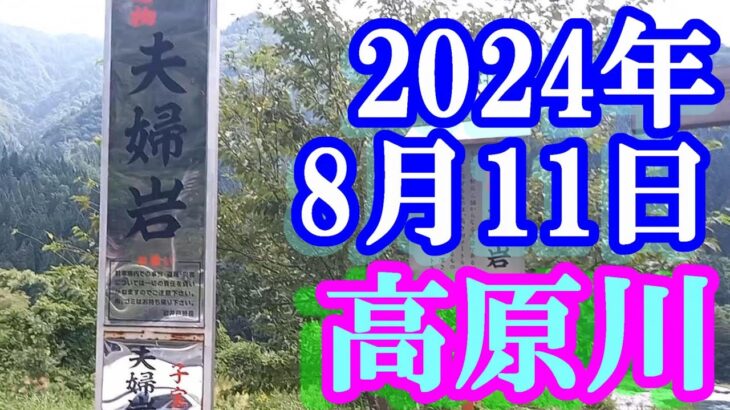 鮎釣り 30cm高垢腐れ 夫婦岩 高原川 2024年