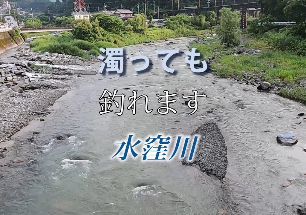 鮎に魅せられて66　濁っても釣れます水窪川