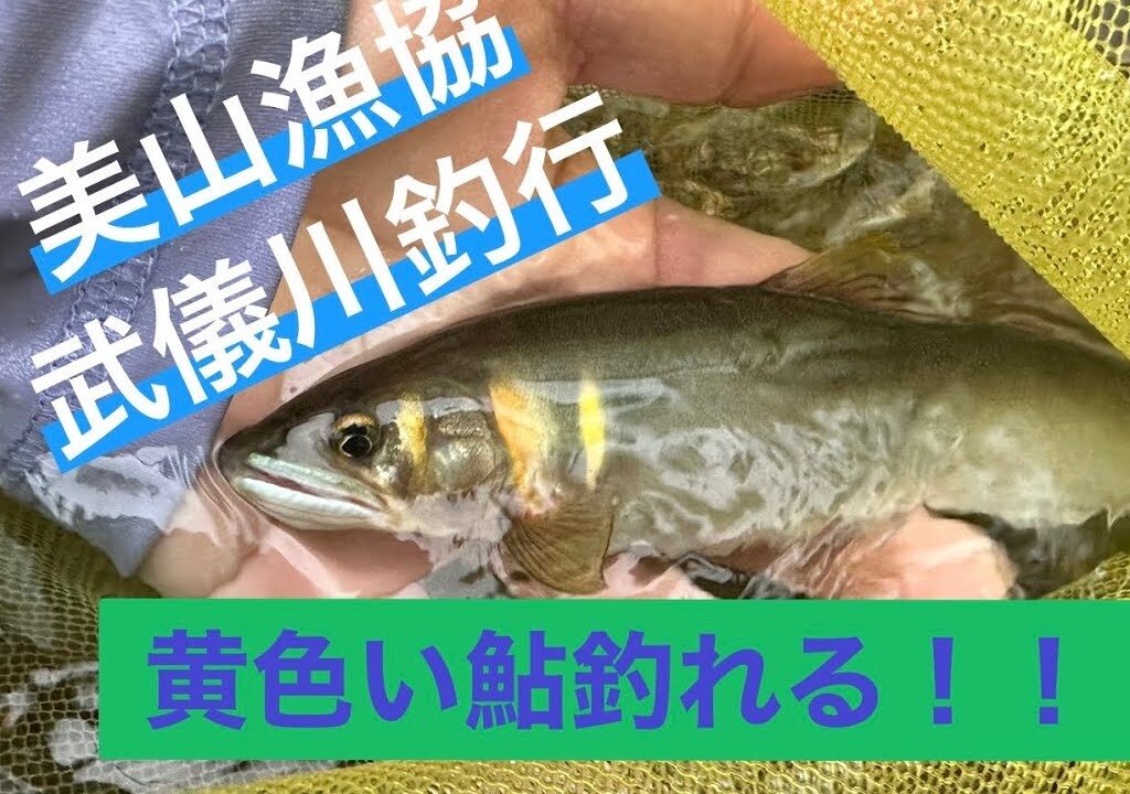 鮎釣り　7月16日夕方　武儀川　美山漁協