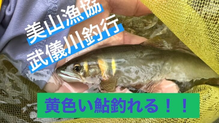 鮎釣り　7月16日夕方　武儀川　美山漁協