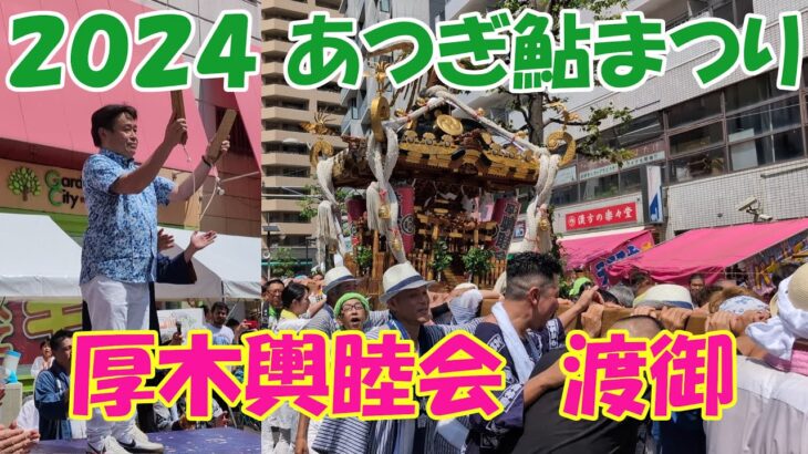第78回あつぎ鮎まつり　厚木輿睦会　神輿渡御