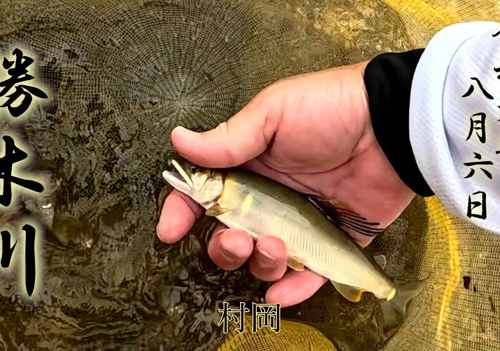 8 6 勝木川　鮎