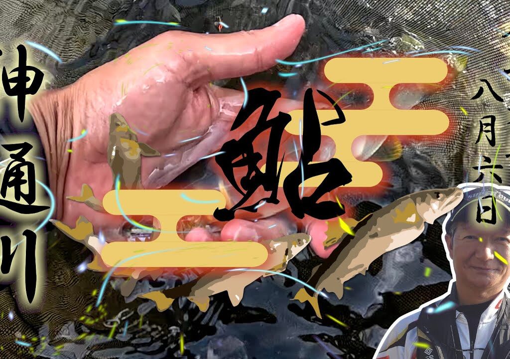 8. 6 神通川　鮎