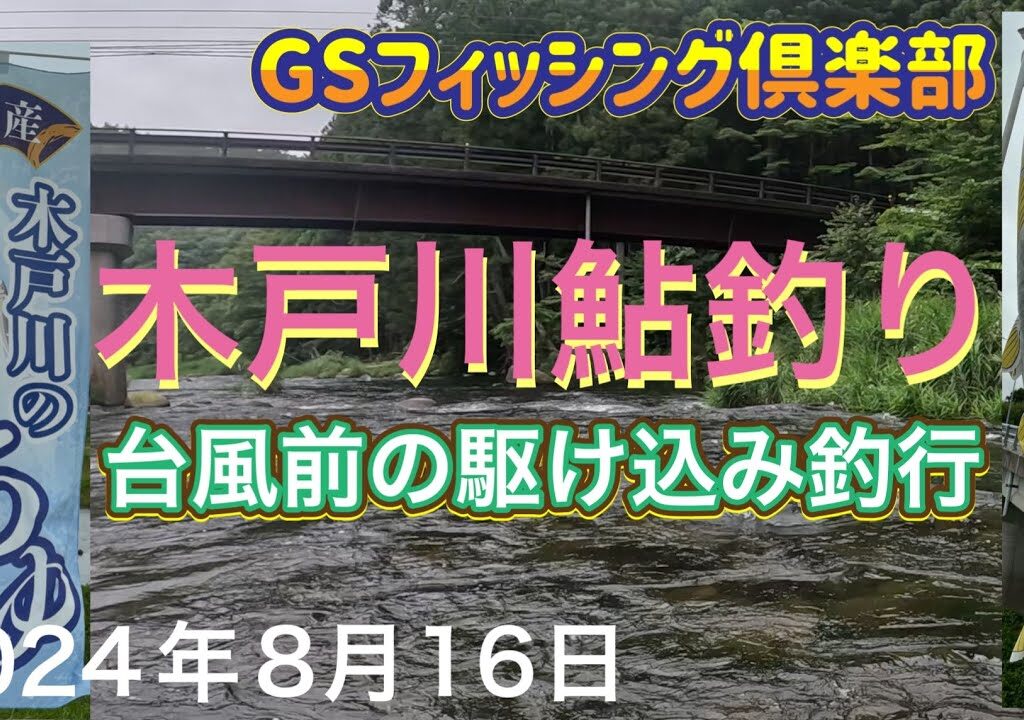 《鮎釣り》２度目の木戸川鮎釣り！台風前の駆け込み釣行。ショートスペシャル80【Vol.22】GSフィッシング倶楽部