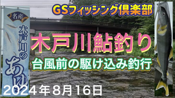 《鮎釣り》２度目の木戸川鮎釣り！台風前の駆け込み釣行。ショートスペシャル80【Vol.22】GSフィッシング倶楽部