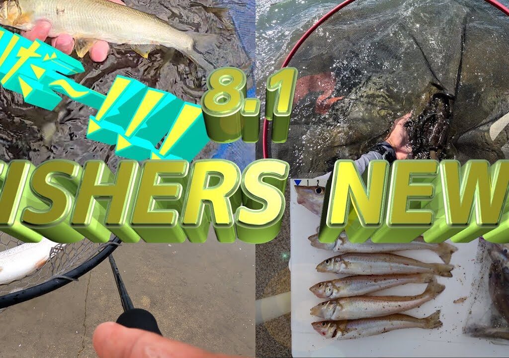 8月1日 FISHERS NEWS