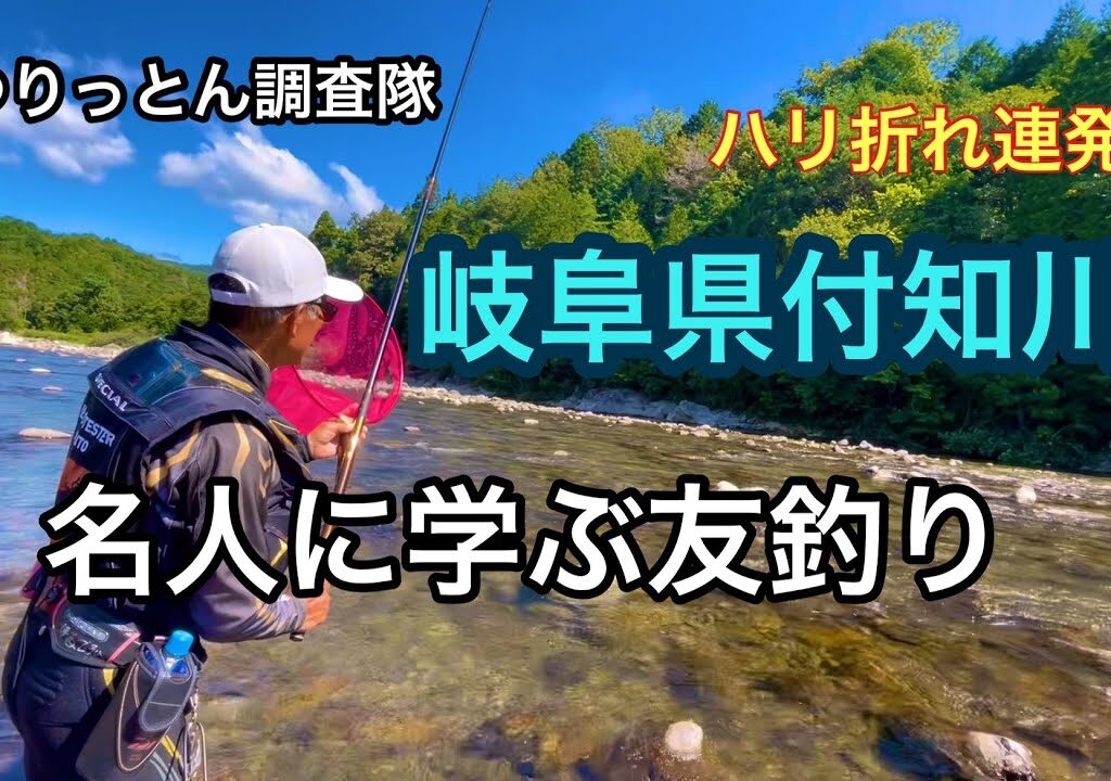 8月17日付知川で鮎釣り。予想外のデカさで仕掛けチェンジ❗️