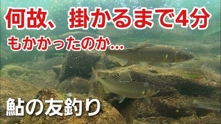 NO35  掛かるまで時間がかかった理由が映像を見てわかりました。ヤナギ仕掛けファン必見！　【友釣りオレ流】