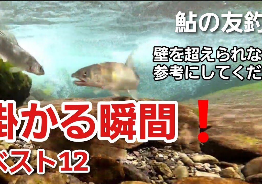 NO42  鮎が掛かる瞬間！水中映像ベスト12をご覧ください　【友釣りオレ流】
