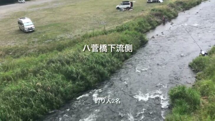 中津川鮎釣り人情報No.11  (No.283より抜粋）田代、角田大橋上流下流、ハ菅橋上流下流　2024.8.24 09時30分〜10時頃