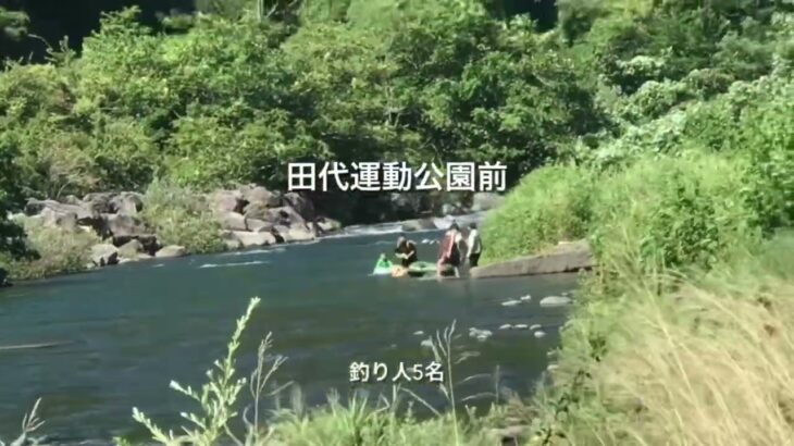 中津川鮎釣り人情報　No.281より抜粋　No.9 2024.8.17 09時〜09時45分頃