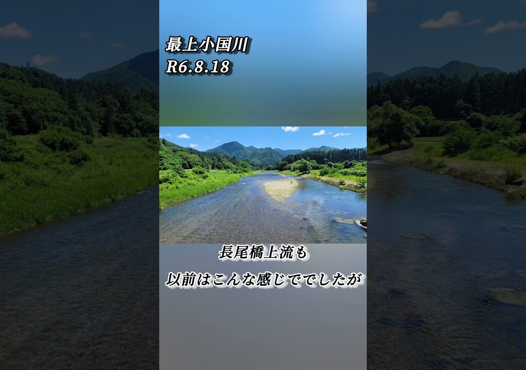 【最上小国川】鮎釣り情報　R6.8.18 #小国川 #最上小国川 #鮎釣り