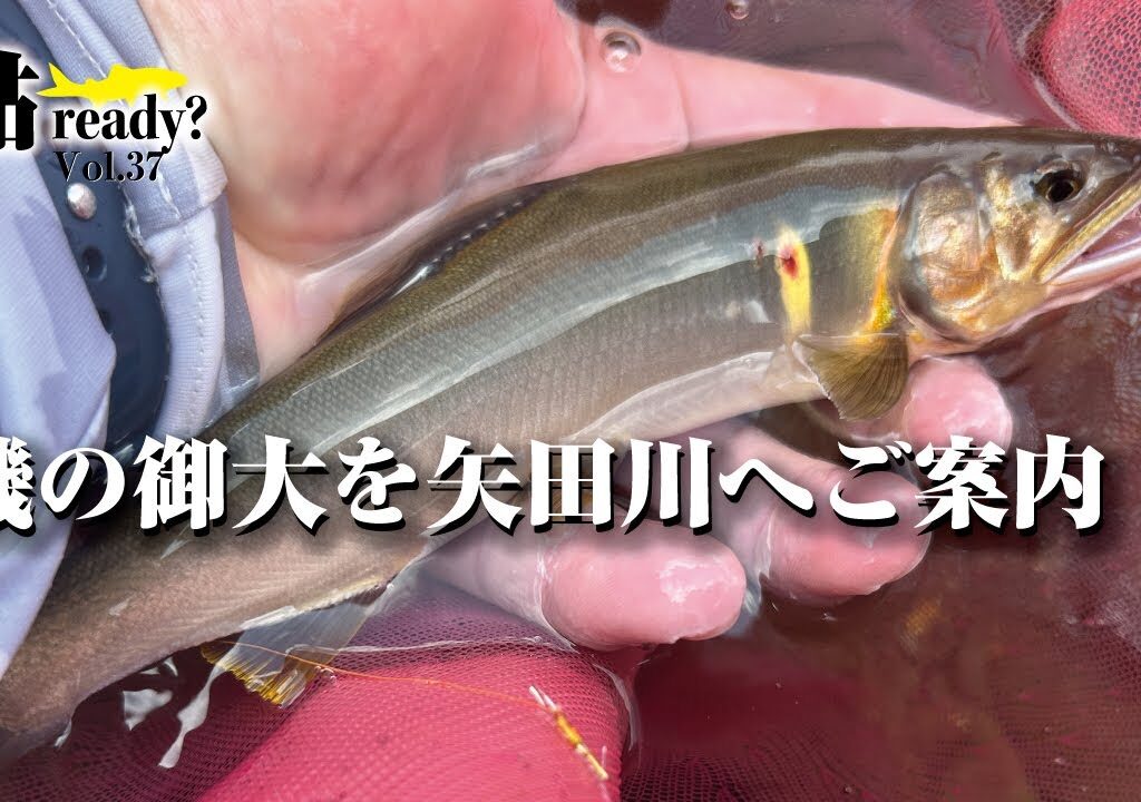 磯の御大を矢田川へご案内【鮎Ready?VOL.37】