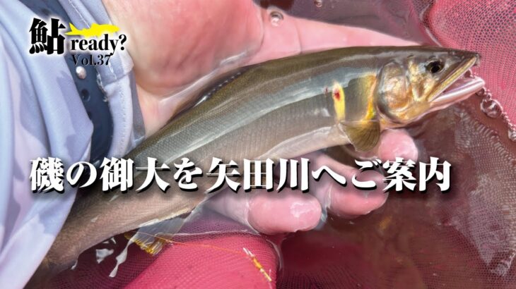 磯の御大を矢田川へご案内【鮎Ready?VOL.37】