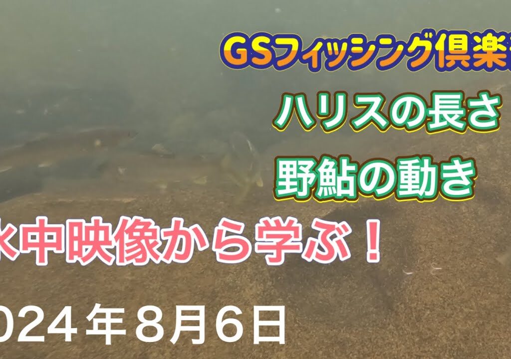 《鮎釣り》釣れないので興味本意で水中撮影。水中映像から学ぶ。【Vol.18】GSフィッシング倶楽部